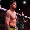 ufc-short-111.jpg
