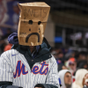 mets-fan-imagn.png