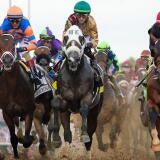 horse-racing-usatsi-generic.jpg