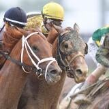 horse-racing-usatsi-generic.jpg