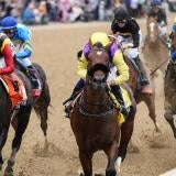 horse-racing-usatsi-generic.jpg