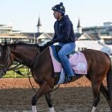 horse-racing-usatsi-generic.jpg