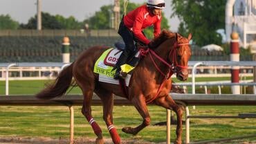 horse-racing-usatsi-generic.jpg