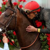 derby-roses.jpg