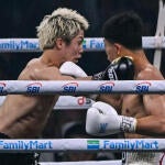 BOX-JPN