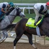 horse-racing-usatsi-generic.jpg