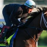 horse-racing-usatsi-generic.jpg