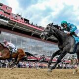 horse-racing-usatsi-generic.jpg