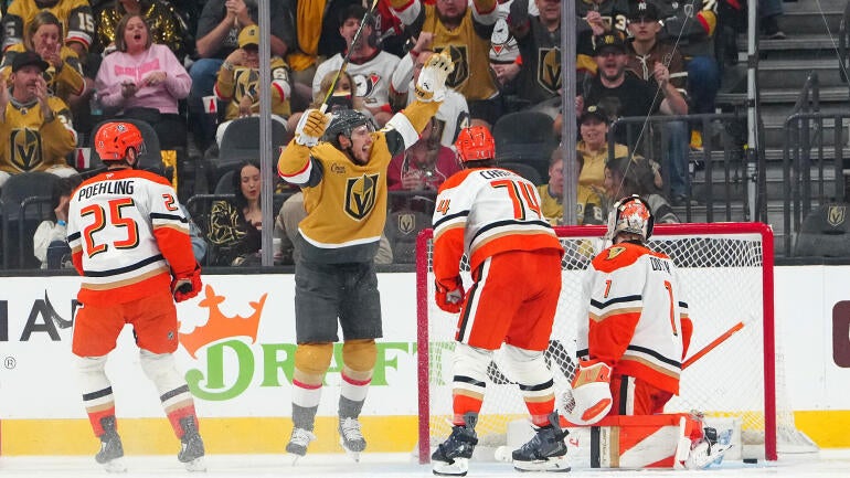 vgk-ducks.jpg