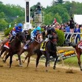horse-racing-usatsi-generic.jpg