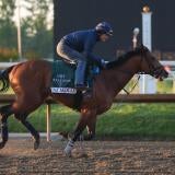 horse-racing-usatsi-generic.jpg