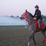 horse-racing-usatsi-generic.jpg