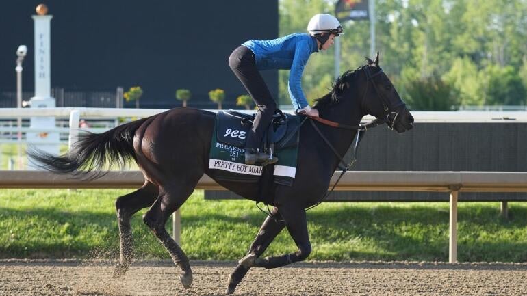 preakness-stakes.jpg