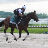horse-racing-usatsi-generic.jpg