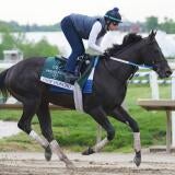 horse-racing-usatsi-generic.jpg
