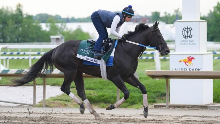 chip-honcho-preakness-stakes-horse-racing