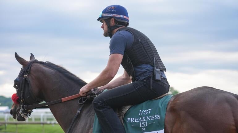 robusta-preakness-stakes-horse-racing