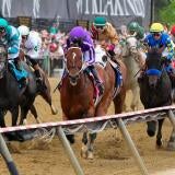 horse-racing-usatsi-generic.jpg
