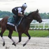 horse-racing-usatsi-generic.jpg