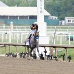 napoleon-solo-preakness-imagn.jpg