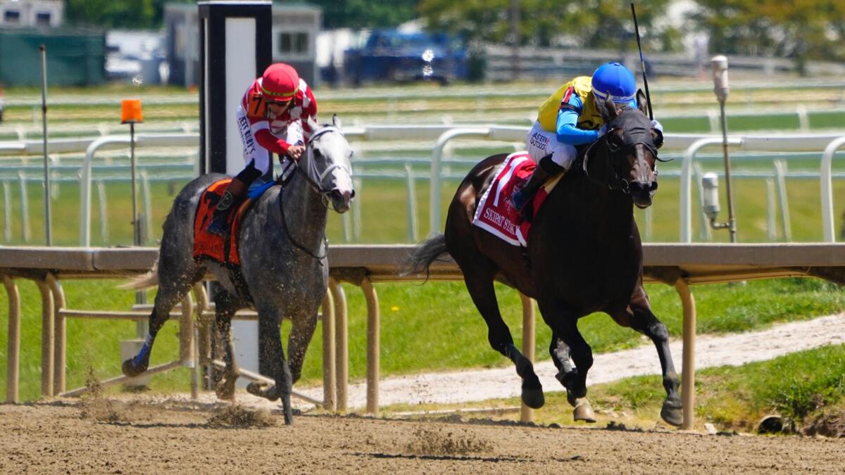 How to bet on the Preakness Stakes: Betting guide, odds, picks, predictions, promos, start time at Laurel Park