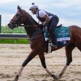 horse-racing-usatsi-generic.jpg