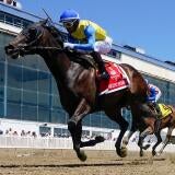 horse-racing-usatsi-generic.jpg
