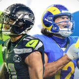 peteprisco-regrading.jpg