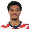 player headshot