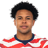 player headshot