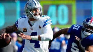 cow.jpg
