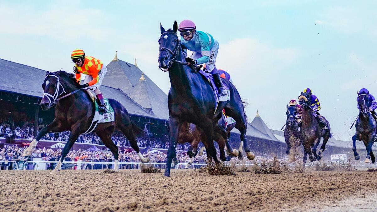 2026 Belmont Stakes odds, date, predictions: Expert who hit 4 of last 8 winners gives horse racing picks