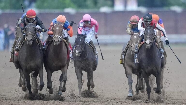 commandment-horse-racing