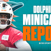 dolphins.png