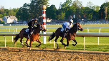 horse-racing-usatsi-generic.jpg