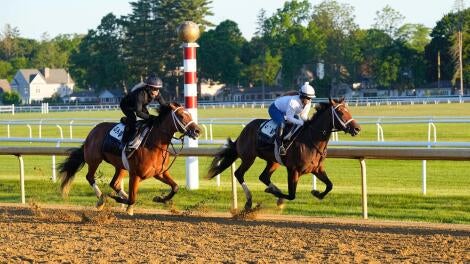 horse-racing-usatsi-generic.jpg