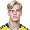 player headshot