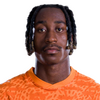 player headshot