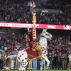 untitled-1-recovered-recovered-fsu.jpg