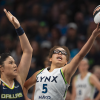 lynx2.png