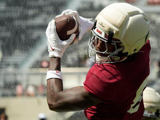 SEC freshmen to watch in 2026: Alabama, Tennessee, Georgia first-year players could flash early