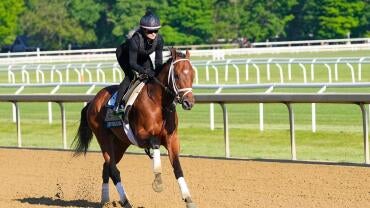 horse-racing-usatsi-generic.jpg