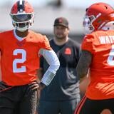 browns.jpg
