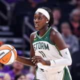 awa-fam-seattle-storm-transition.png