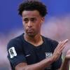 tyler-adams-usmnt.jpg
