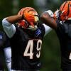 bengals-linebackers.jpg