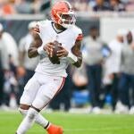 deshaun-watson.jpg