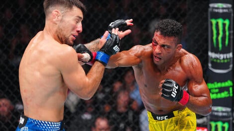 UFC 330: Barboza v Ribovics