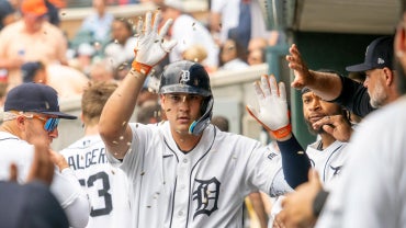 tigers-getty.png