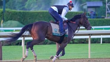 horse-racing-usatsi-generic.jpg